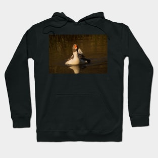 rbs goose Hoodie